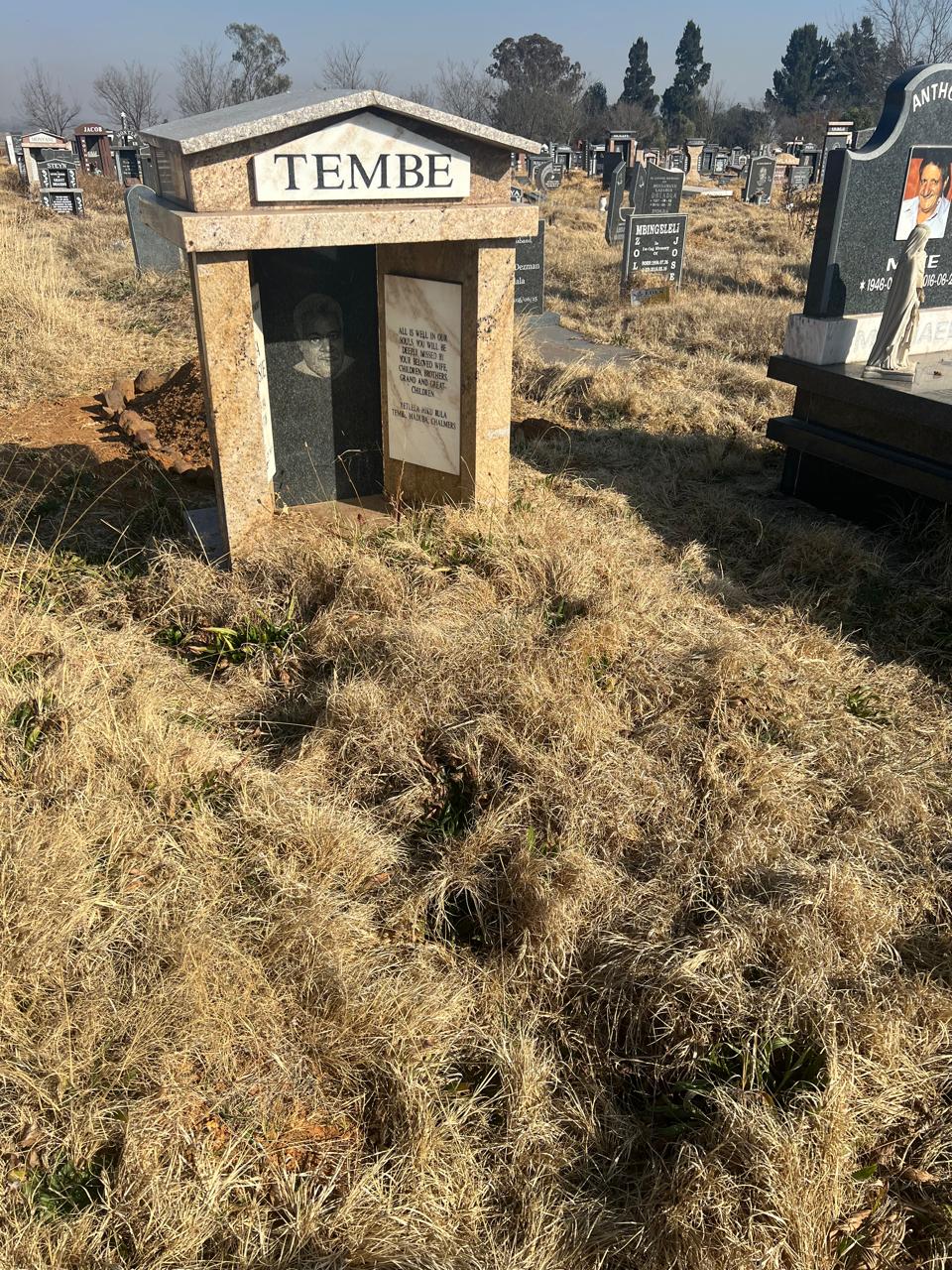 Before restoration and care